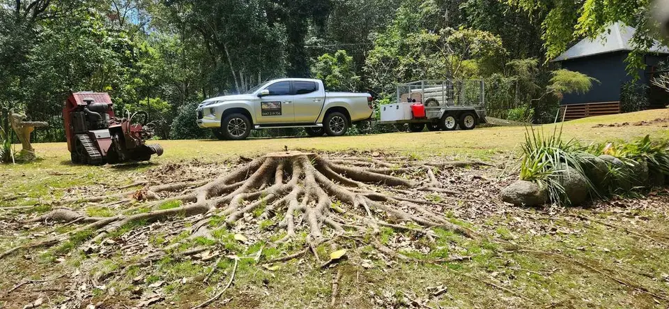 A large stump with spreading surface roots, the tracked grinder alongside, and the signwritten ute and trailer parked behind