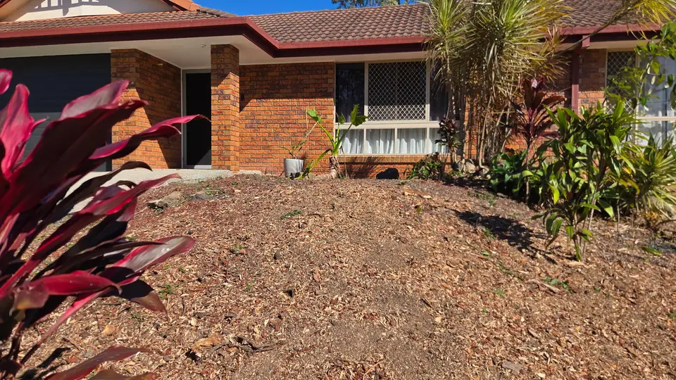 The same garden bed with the stump gone, the surrounding palms and cordylines untouched