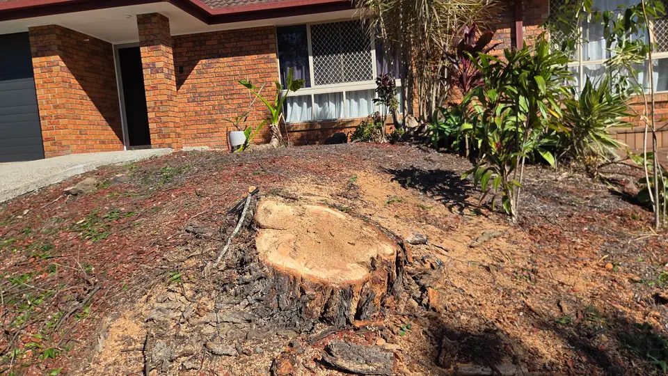 A broad pale stump sitting in a planted garden bed in front of a brick house