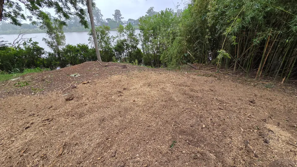 The same riverbank clearing with the stump and roots gone and the ground level