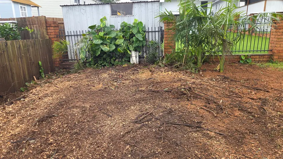 The same corner of the yard with the stump gone and wood-chip mulch raked over the hole