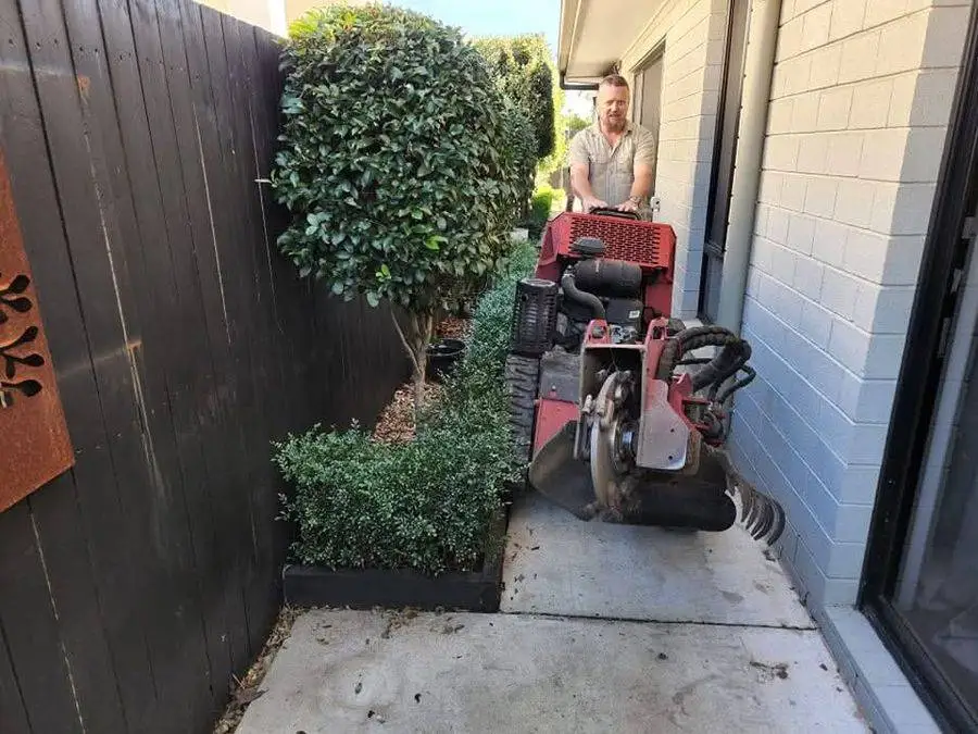 Paul driving the stump grinder down a narrow path beside a house, between the fence and the wall